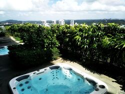 The Scotts Tower (D9), Condominium #396822911